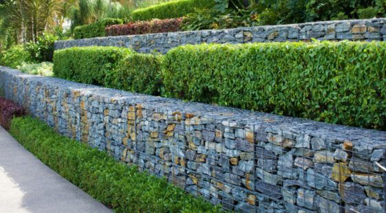 a stone wall is lined with grass and shrubs