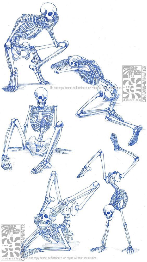 the skeleton poses are drawn in blue ink, and have different angles to show them