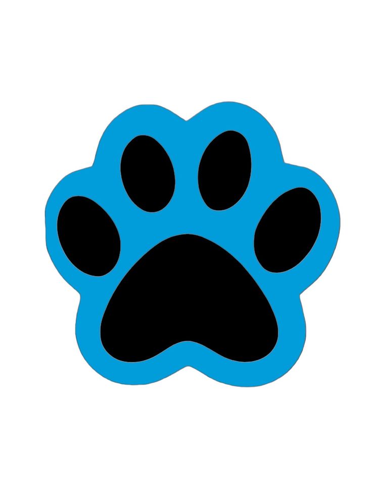 Sky Blue/Black Wooden Paw Print Door Hanger. America Decorations, Paw Print Door Hanger, Creative Front Door, Wooden Paw Print, Front Door Decor Ideas, Door Decor Ideas, America Decor, Color Pad, Wooden Decoration