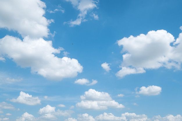 a group of people standing on top of a lush green field under a blue sky