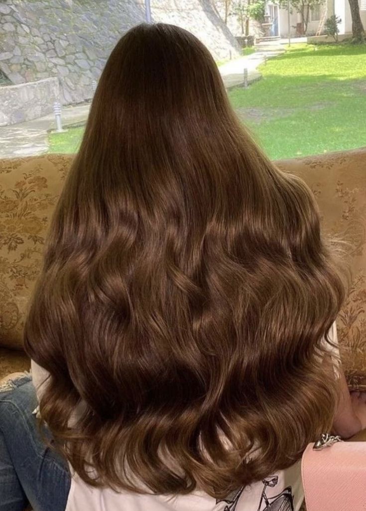 Rich Brown Hair Aesthetic, Hair Colour Aesthetic Ideas, Level 4 Hair Color Brown, Long Bronze Hair, Long Chestnut Hair, Goldish Brown Hair Color, Chocolate Brown With Golden Highlights, Deep Golden Brown Hair, Ginger Chocolate Hair