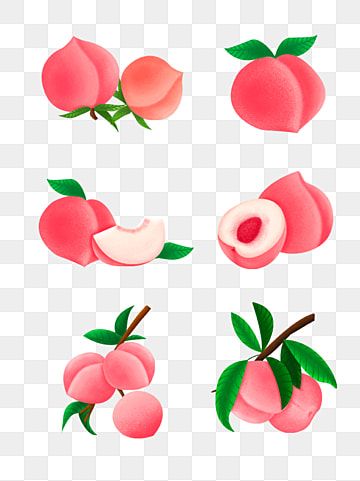 peaches with leaves and slices on a transparent background, peaches, fruit, pink png and psd