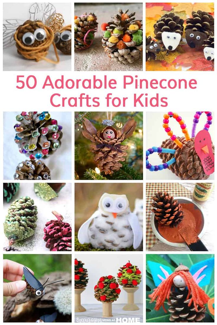 some pinecone crafts for kids to make and sell on the internet, with text overlay that reads 50 adorable pinecone crafts for kids