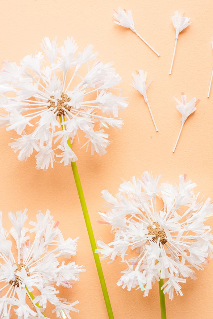 three white dandelions on a pink background with some sticks sticking out of them