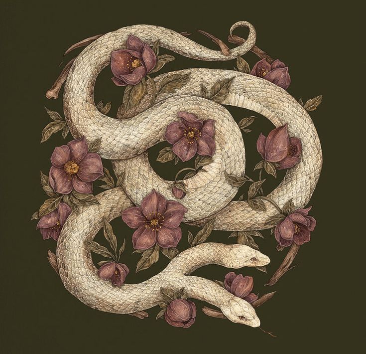 jessica roux snake, snake, nature, illustration, art, decoration, reptile, basket, design, retro, still life, flower, print, image, rope Jessica Roux Illustration, Snake Art Design, Beer Label Illustration, Snake And Flowers, Snake Art, 다크 판타지, Arte Sketchbook, Arte Animal, Illustration Vector