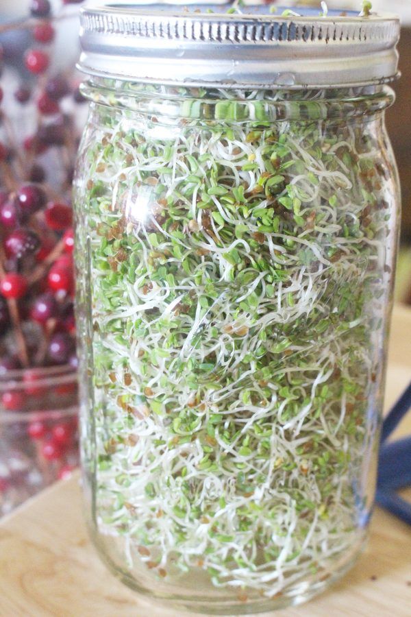 a jar filled with sprouts sitting on top of a wooden table