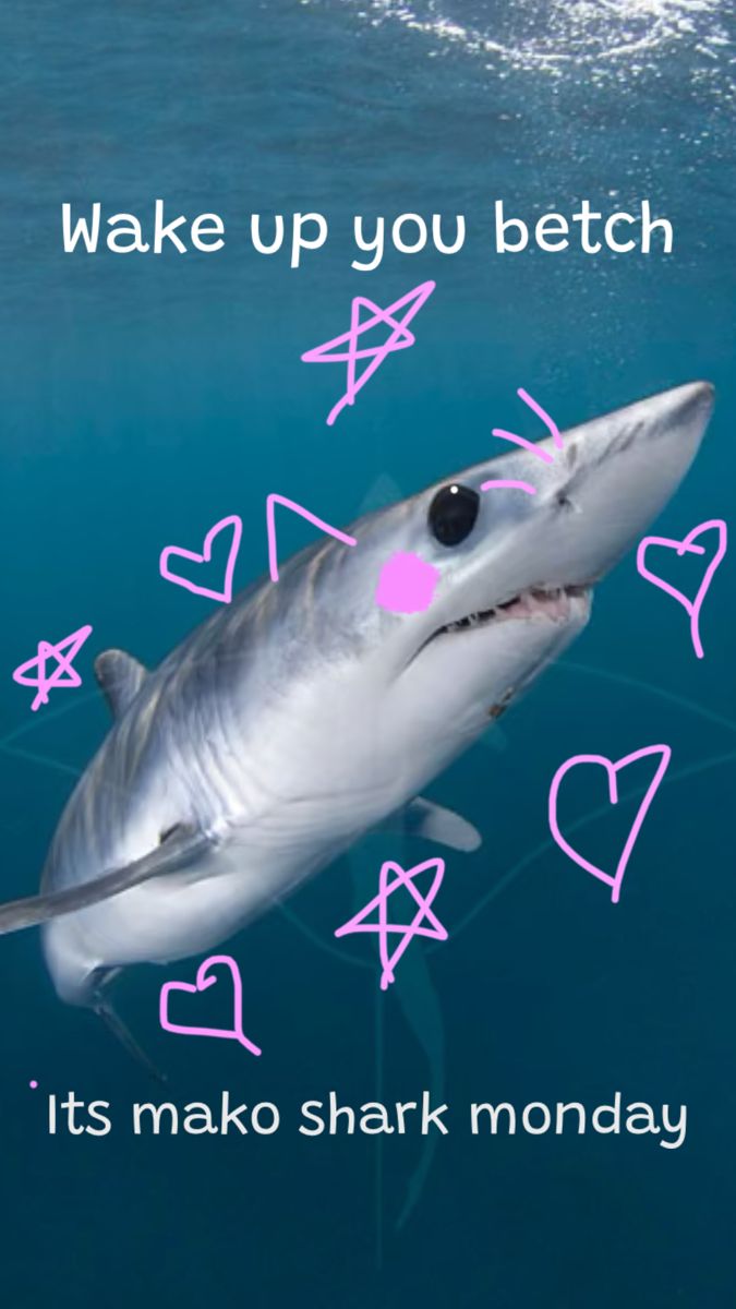 a shark is swimming in the water with pink hearts on it's chest and words written below