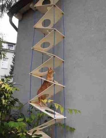 an orange cat sitting on top of a wooden shelf next to a tree and building