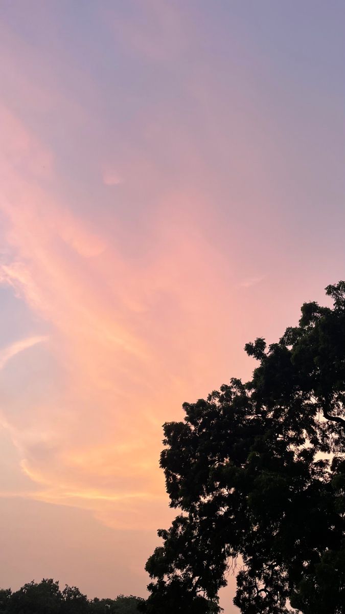 the sky is pink and blue as the sun sets in the distance behind some trees