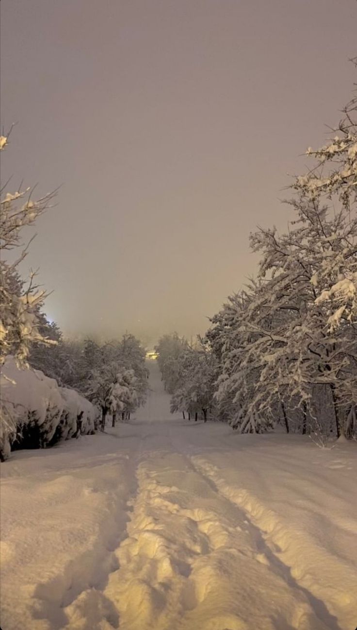 a snow covered road with trees on both sides and the sky in the back ground