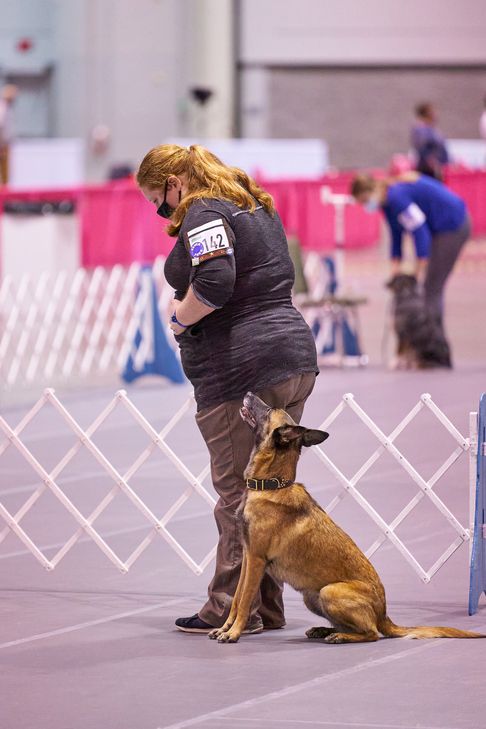 a woman standing next to a brown dog on top of a cement floor in front of a white fence