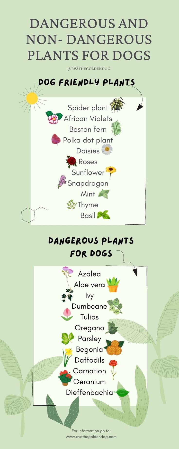 an info sheet describing the different types of plants and their names in english or spanish