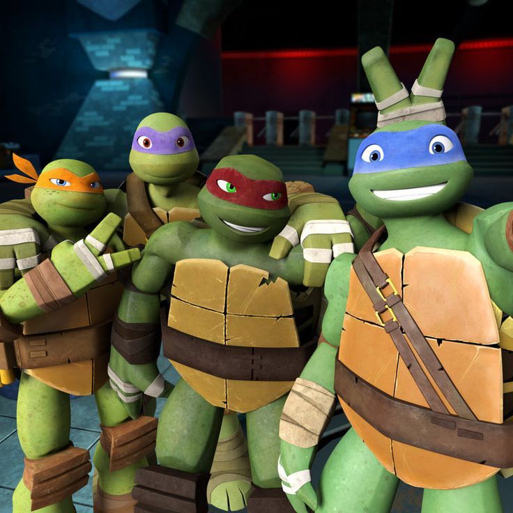 the teenage mutant turtles in teenage mutant