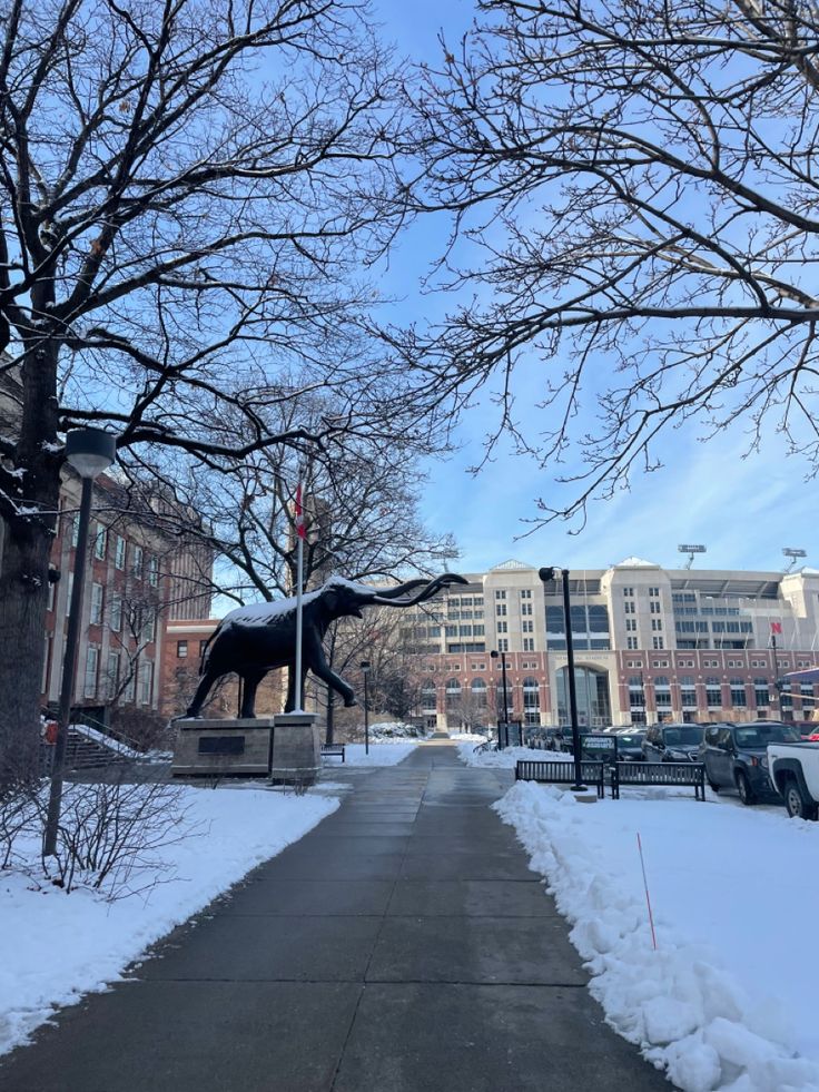 #nebraska #huskers #cornhuskers #college #class #springsemester Law School Life, Nebraska Lincoln, Stadium Architecture, Lincoln Nebraska, Dream College, Lincoln Memorial, University Life, Nebraska Cornhuskers, School Life