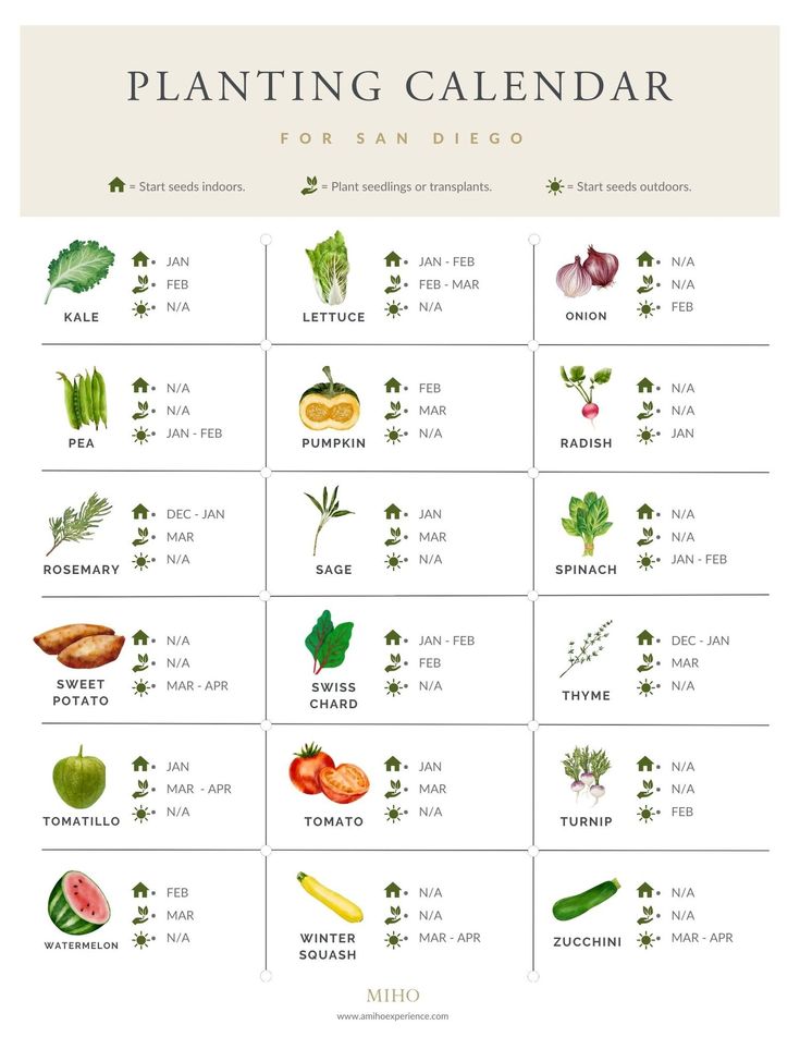 the plant calendar for san diego