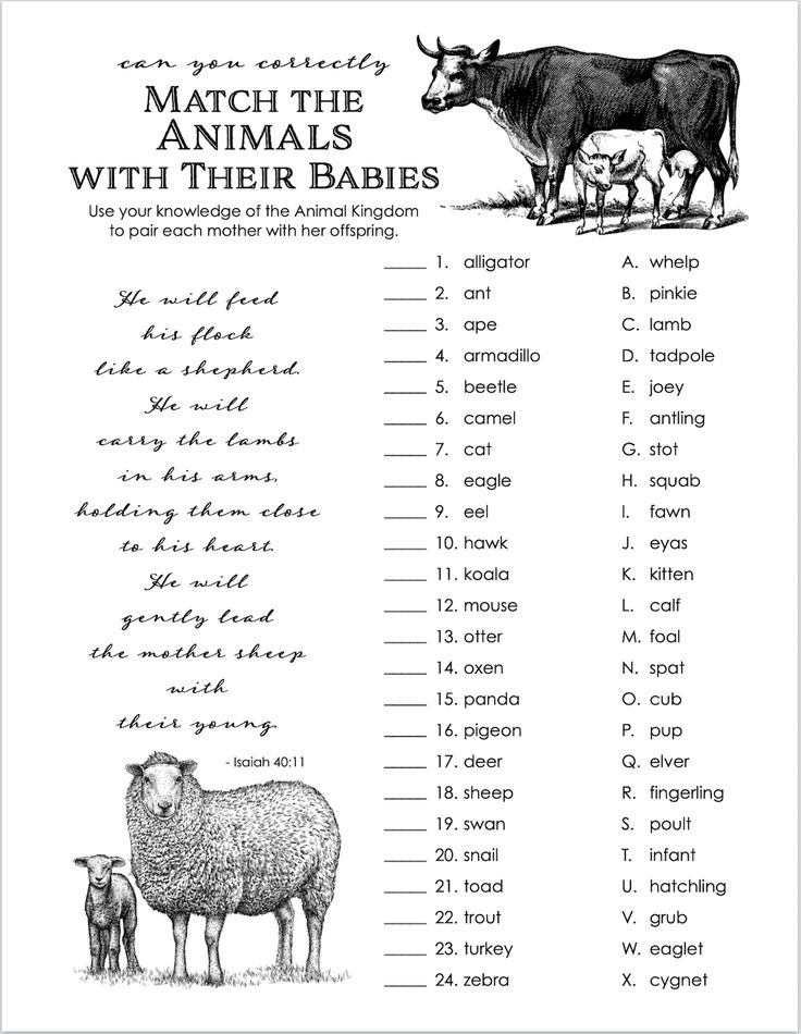 a printable animal baby shower game with the words match the animals with their babies