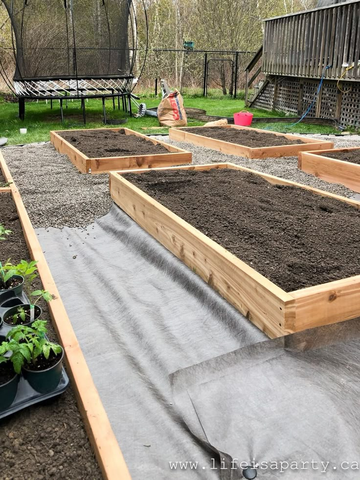 several raised garden beds with plants growing in them and people working on the other side