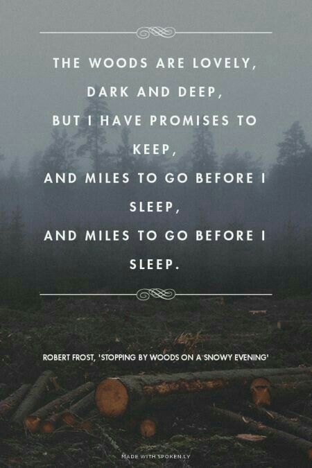 the woods are lovely, dark and deep, but i have promises to keep