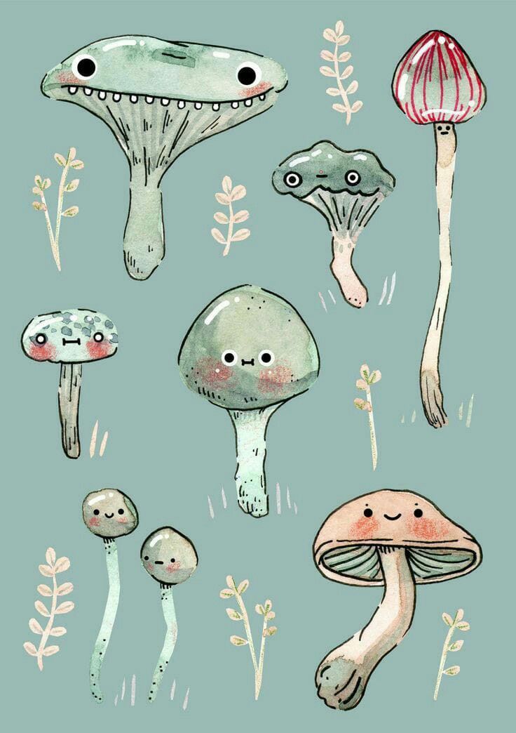 various mushrooms and plants with faces drawn in ink on a blue background, including one large mushroom