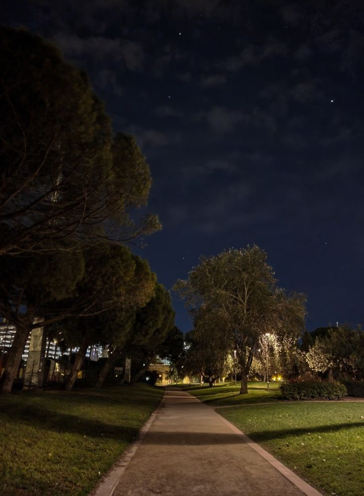 an empty path in the middle of a park at night with trees and grass on both sides