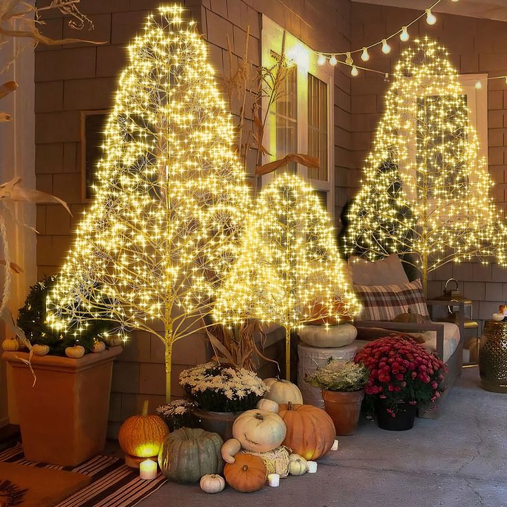 lighted trees and pumpkins are on the front porch for halloween decorating or to decorate