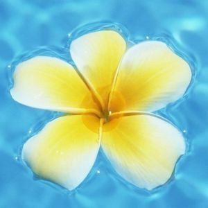 a yellow flower floating on top of blue water with bubbles in the bottom right hand corner