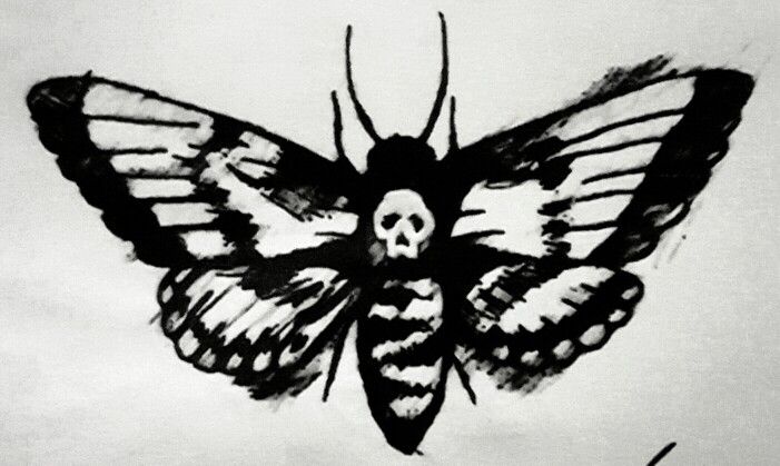 a black and white drawing of a butterfly with skull on it's back wing