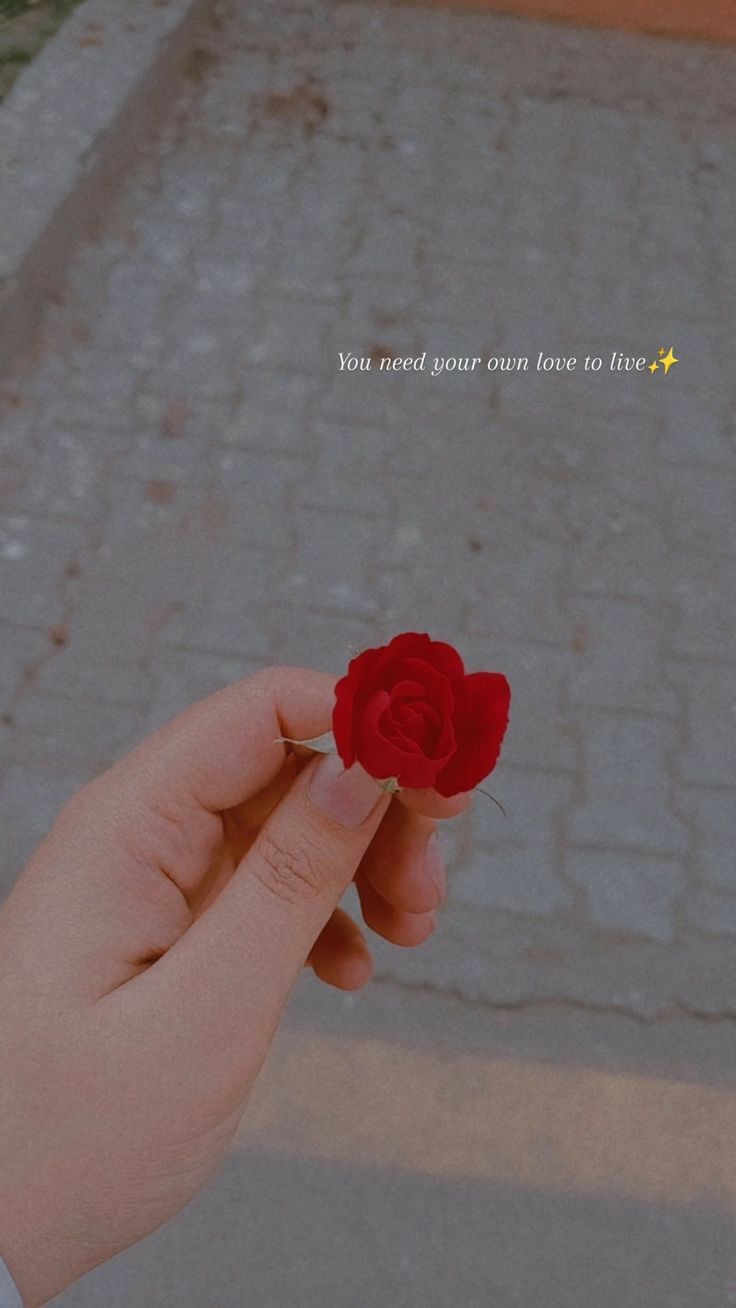 a person holding a red rose in their hand