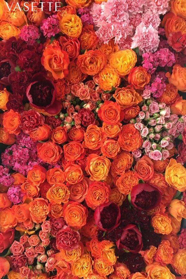 an arrangement of colorful flowers on display in a vase with the words vassette above it