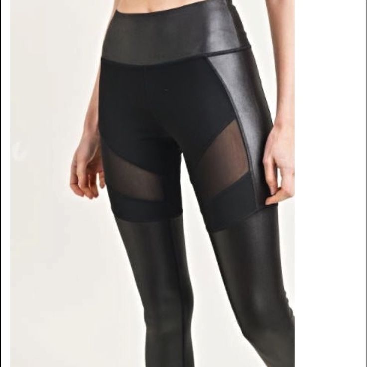 Work Out Or Make It A Casual Day Out In These High Gloss Mesh Leggings. Sheer Mesh Details. High-Waisted Leggings. Moisture Wicking. Model Wears: Small Fabric: 92% Polyester 8% Spandex Black Activewear For Fall Night Out, Athleisure Tight Leggings For Night Out, Sporty Leggings For Night Out In Fall, Sporty Black Tights For Fall, High Waist Black Tights For Fall, Grey Yoga Pants, Alo Yoga Leggings, Mesh Panel Leggings, Cat Leggings