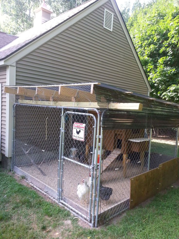 a chicken coop with two chickens in it