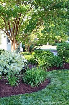 the front yard is neatly trimmed and ready to be used as a flowerbed garden