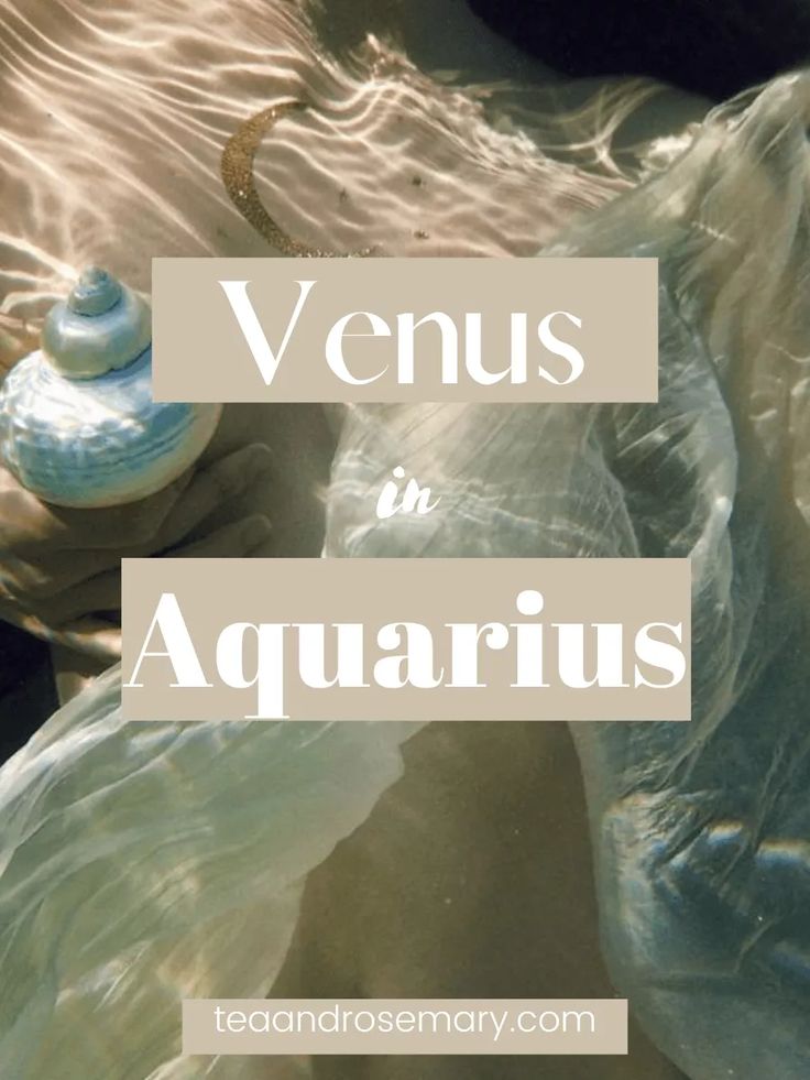 the words venus in pisces are above an image of a shell