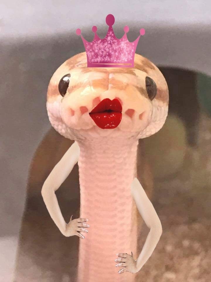 a snake with a pink crown on its head and red lips standing in front of a mirror