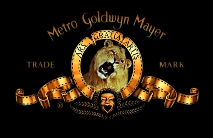 the logo for metro goldlyn mayer's art and craft market, with an image of a lion