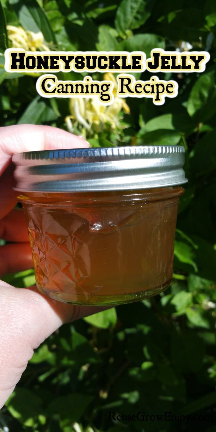 honeysuckle jelly canning recipe in a mason jar with text overlay that reads, honeysuckle jelly canning recipe