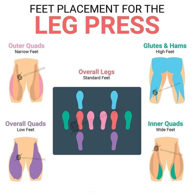 the legs and feet are labeled in different colors