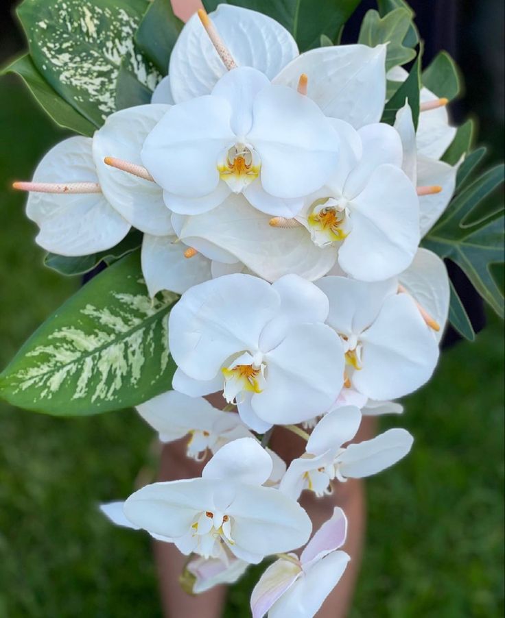 a bouquet of white orchids in someone's hand with green leaves on it