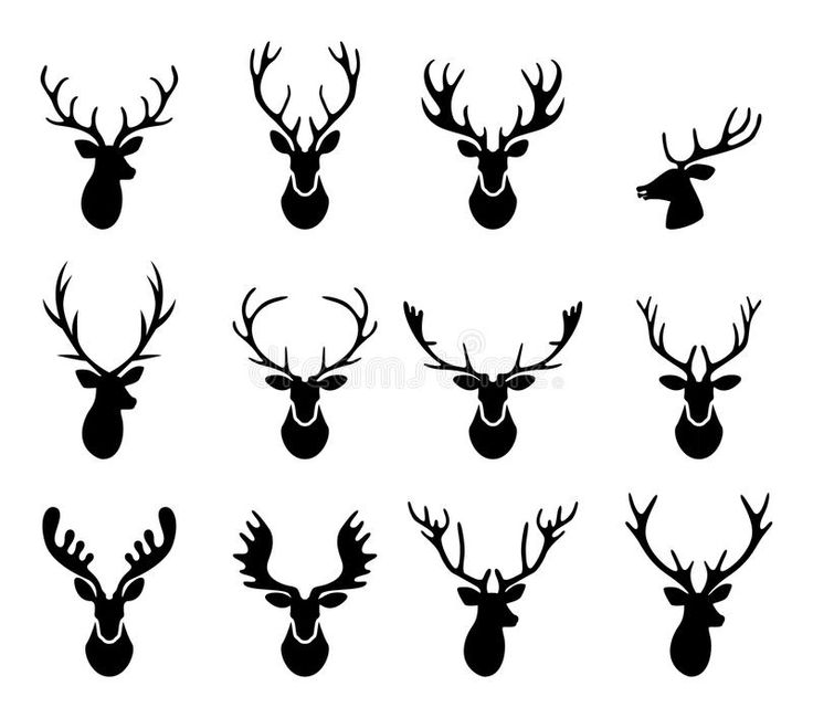 deer head silhouettes with antlers on white background, set of six images in black