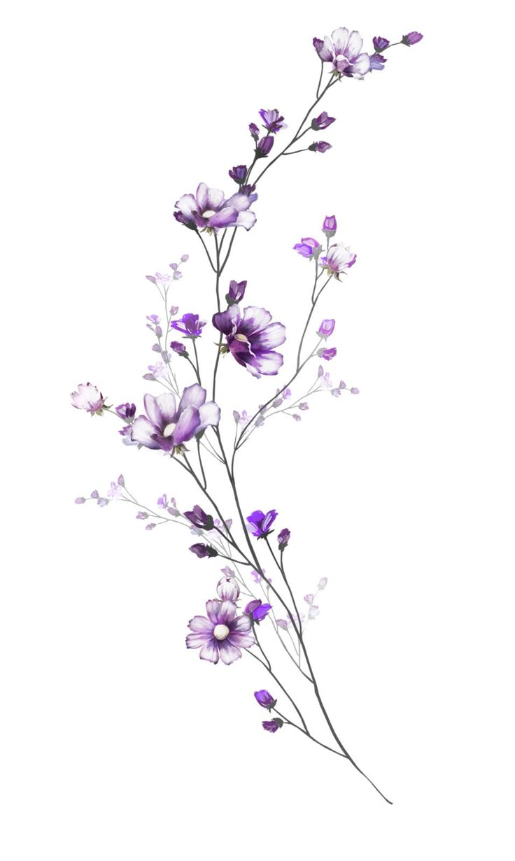 purple flowers on a white background