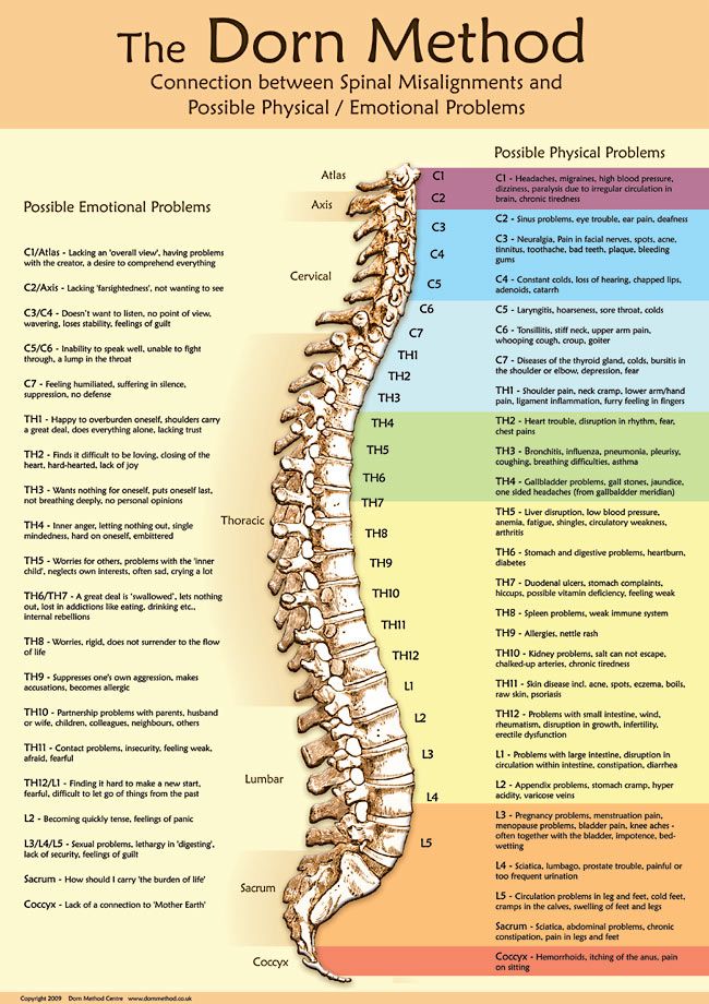 Neuro Emotional Technique, Chronic Tiredness, Human Science, Chiropractic Therapy, Body Chart, Reiki Therapy, Psychology Notes, Craniosacral Therapy, Dry Needling