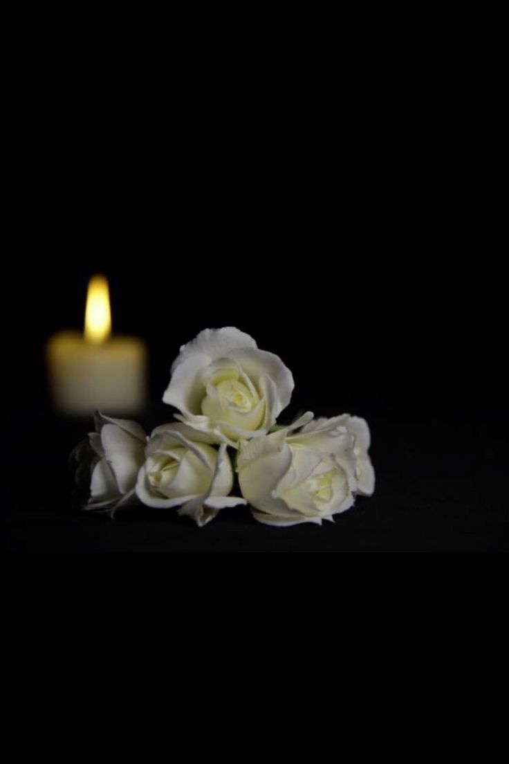 some white roses and a lit candle on a black background with room for text photo