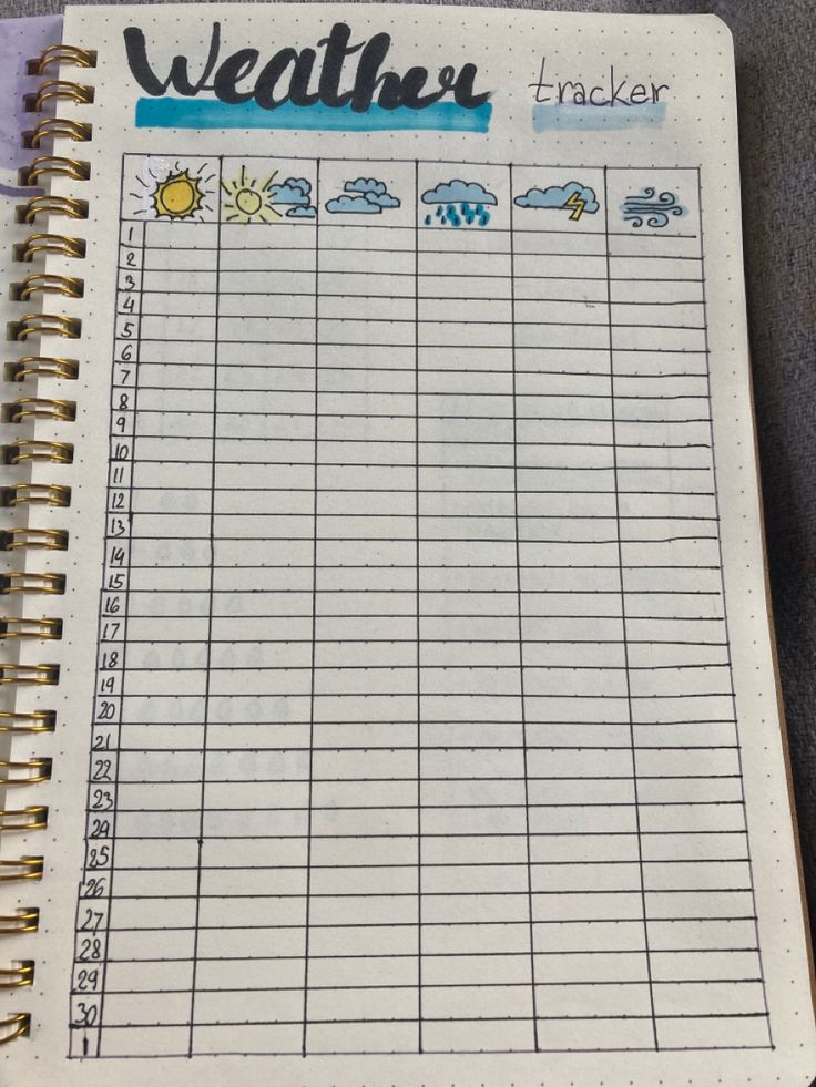 a planner with weather and cars on it