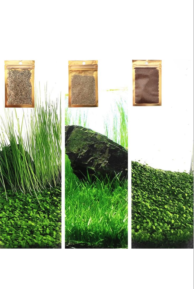 three different views of grass and rocks