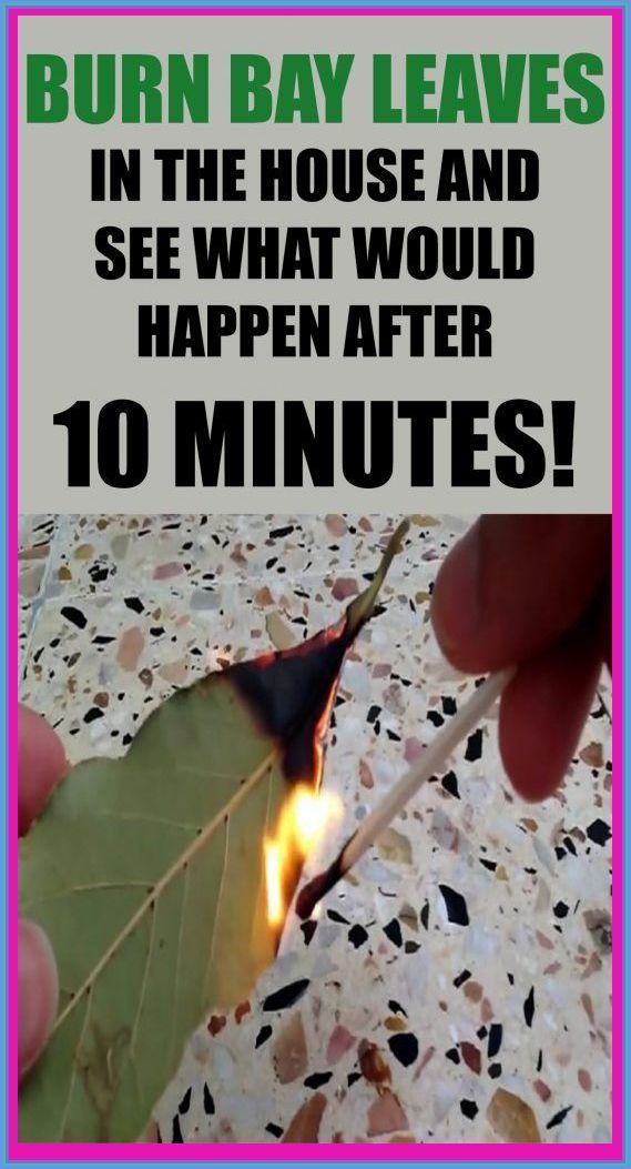 Burn Bay Leaves In The House And See What Would Happen After 10 Minutes! Burn Bay Leaves, Bay Laurel Tree, Burning Bay Leaves, Bay Laurel, Laurel Tree, Laurus Nobilis, Health Dinner, Bay Leaf, Diy Hair Care