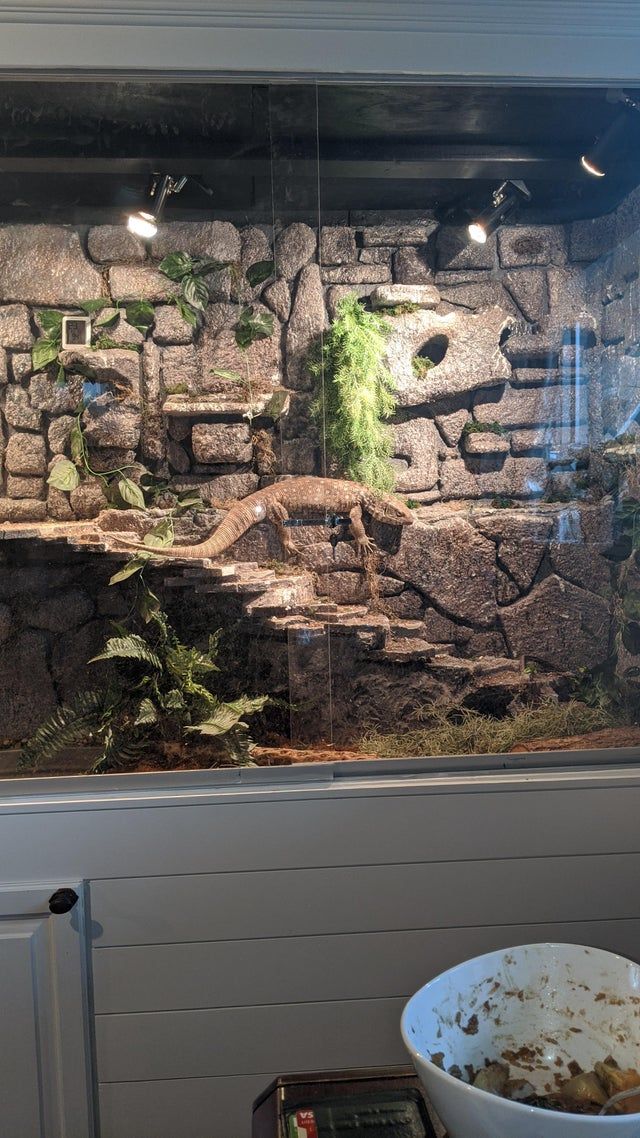 a large fish tank sitting on top of a table next to a bowl filled with food