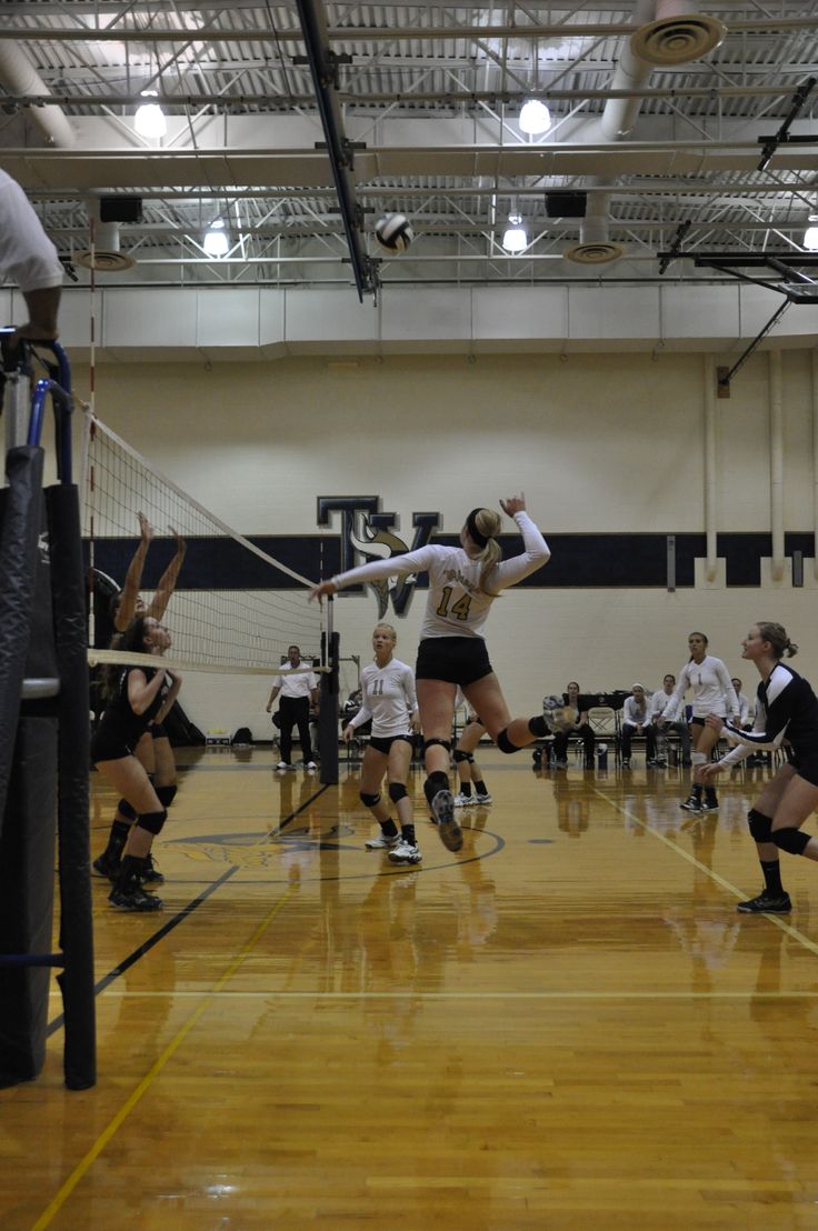 a group of women playing volleyball in a gym