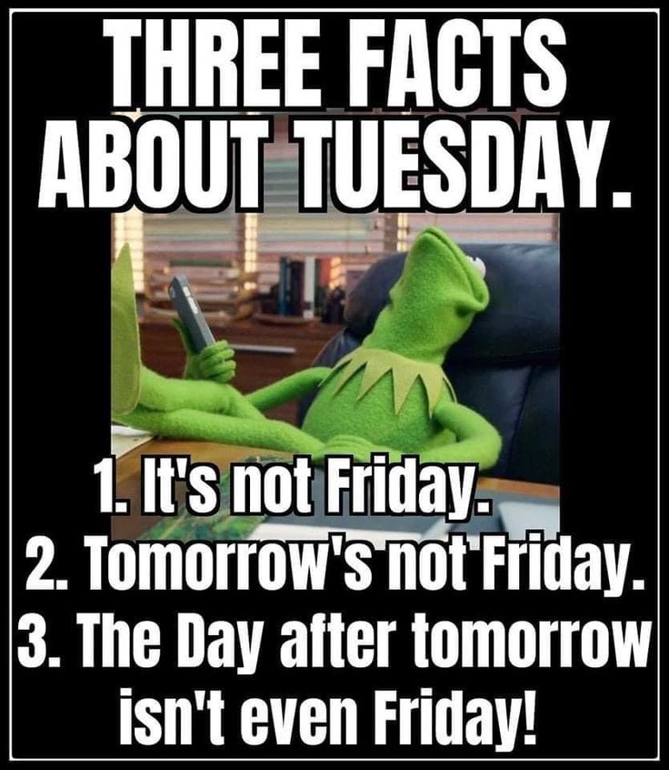 kermie the frog sitting at a desk with text that reads three fact about tuesday it's not friday 2 tomorrow's not friday 3 the day after tomorrow isn't even friday