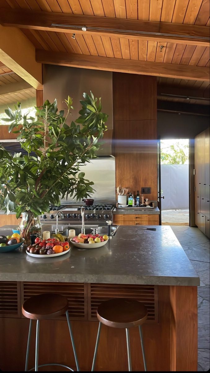 two plates of food sit on the kitchen counter next to bar stools and a potted plant