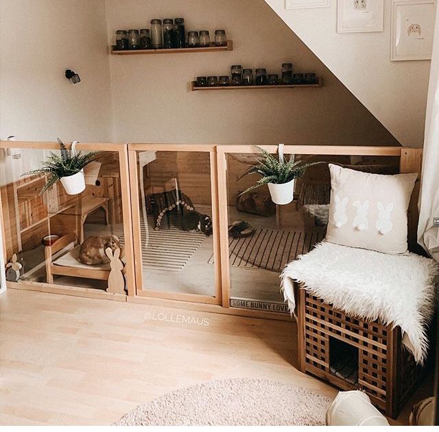 a room with some shelves and plants in it